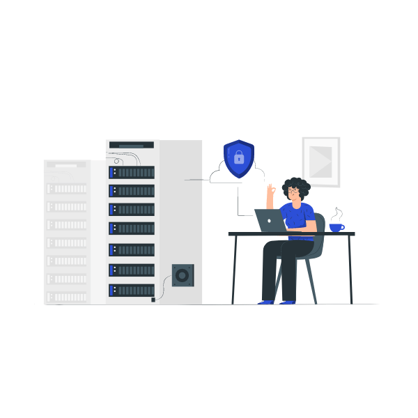 Secure server illustration
